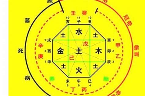 十天干查詢|生辰八字算命、五行喜用神查询（免费测算）